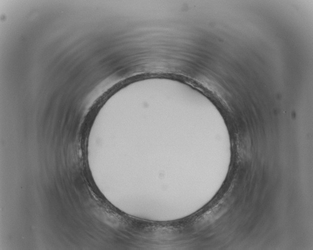 X0000073701070200608101808