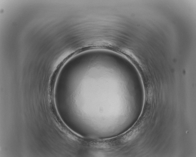 X0000073701071200608101808