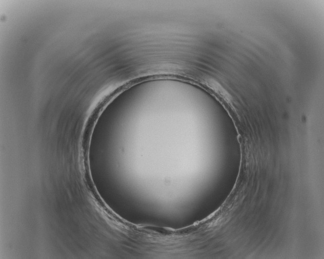 X0000073701072200608101807