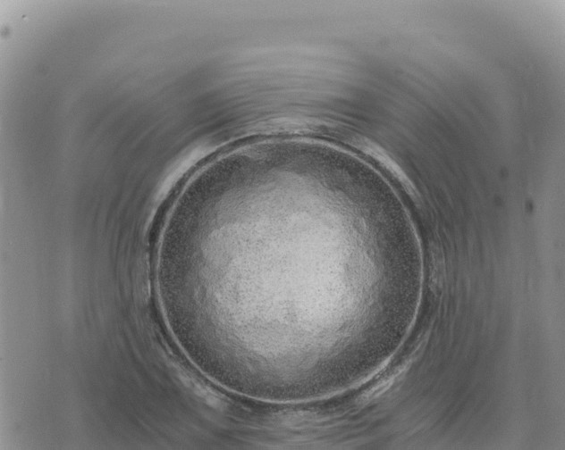 X0000073701075200608101807