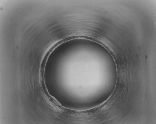 X0000073701076200608101807