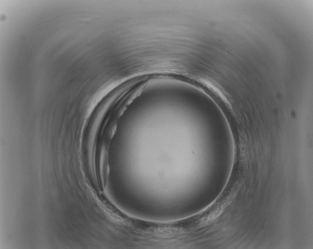 X0000073701077200608101807