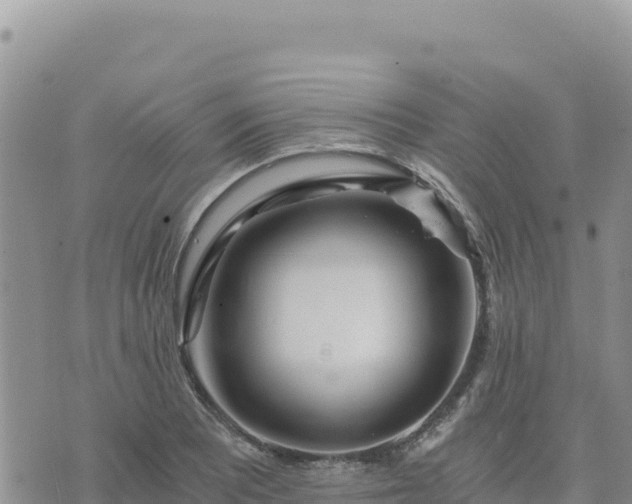 X0000073701081200608101807