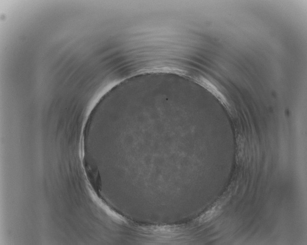 X0000073701084200608101807