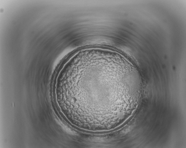 X0000073701086200608101807