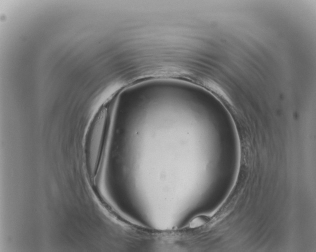 X0000073701087200608101807