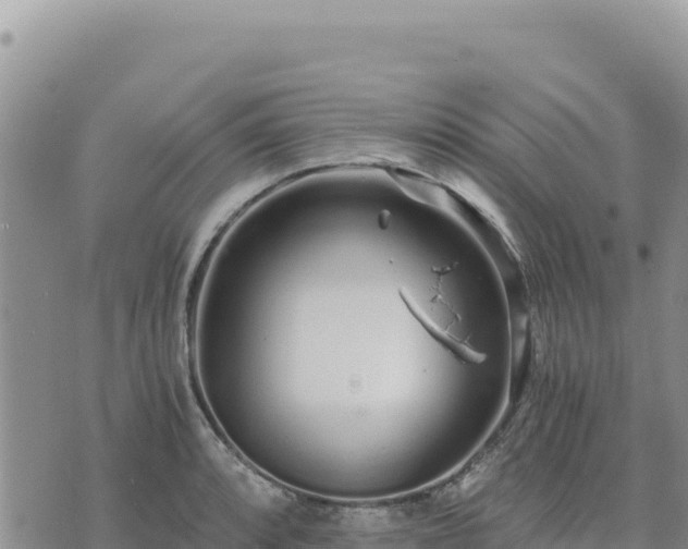 X0000073701088200608101807