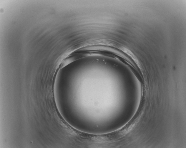 X0000073701089200608101807