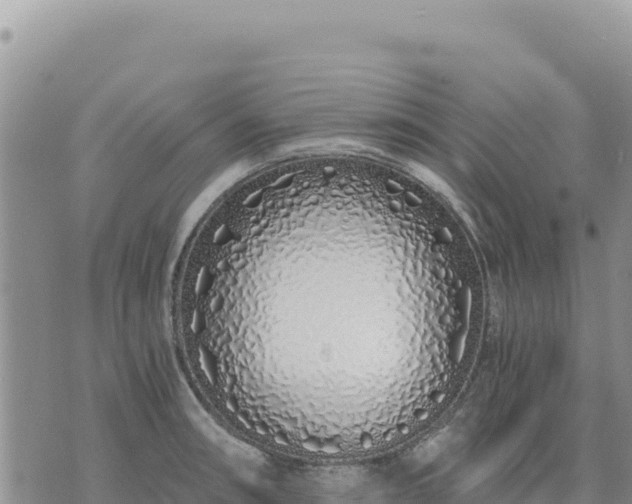 X0000073701090200608101807