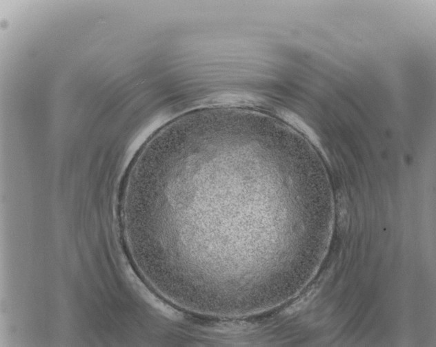 X0000073701091200608101807