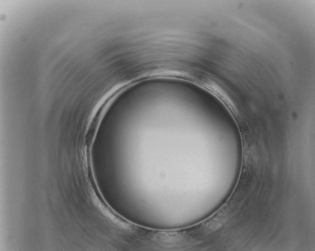 X0000073701092200608101807