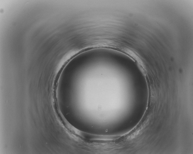 X0000073701093200608101807