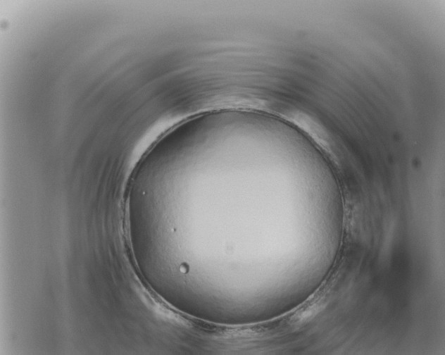 X0000073701094200608101807