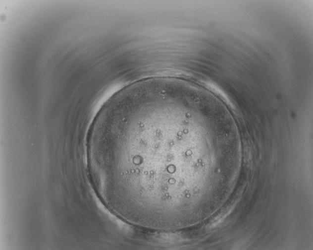 X0000073701095200608101807