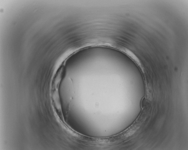 X0000073701096200608101807