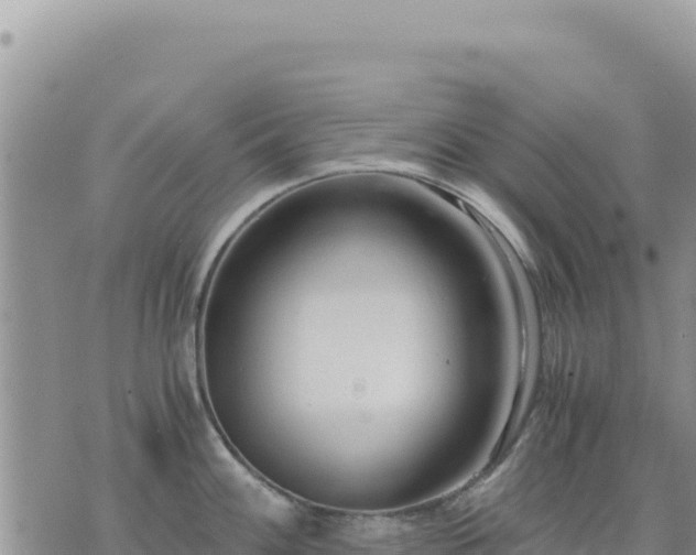 X0000073701100200608101807