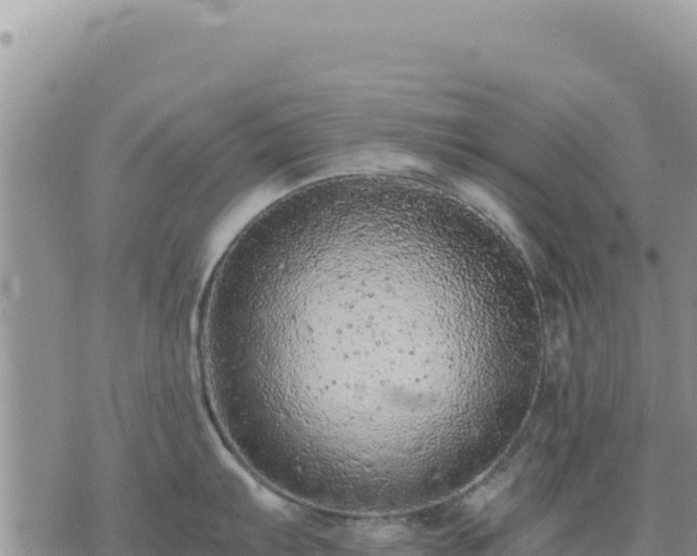 X0000073701103200608101807