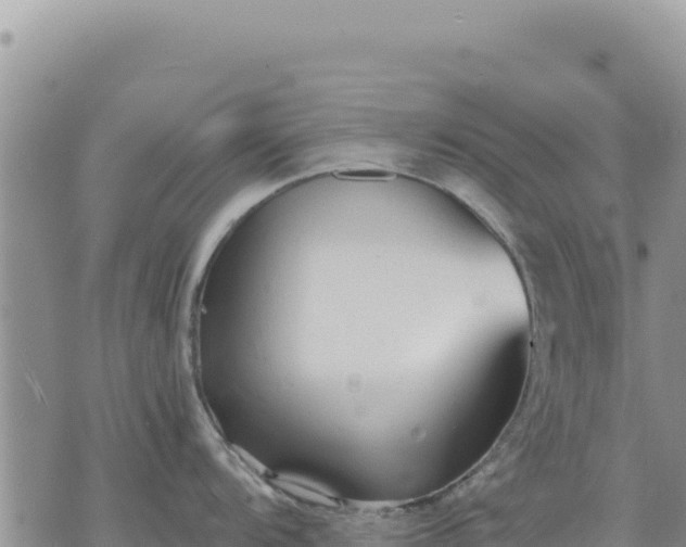 X0000073701104200608101807