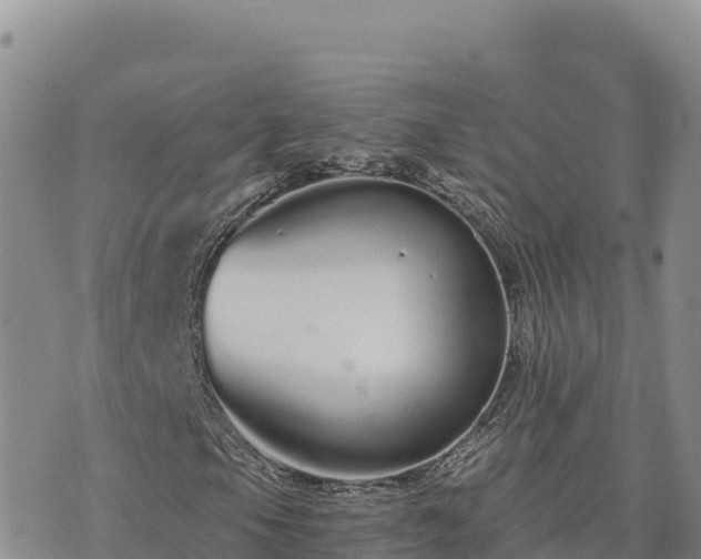 X0000073701105200608101806