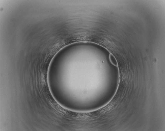 X0000073701106200608101806