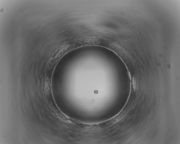 X0000073701107200608101806