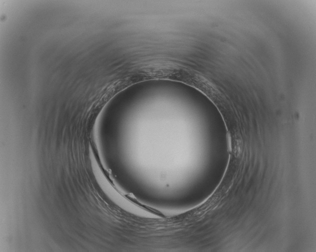 X0000073701108200608101806