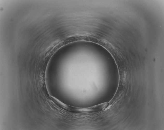 X0000073701110200608101806