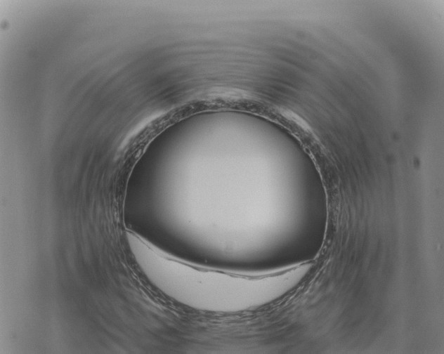 X0000073701112200608101806