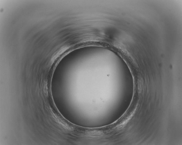 X0000073701113200608101806