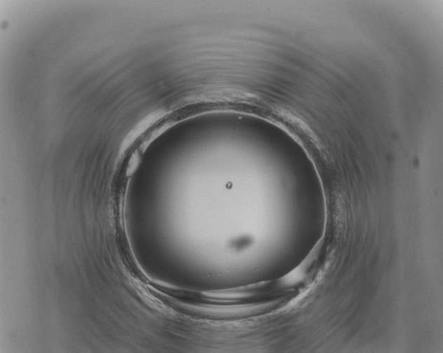 X0000073701114200608101806