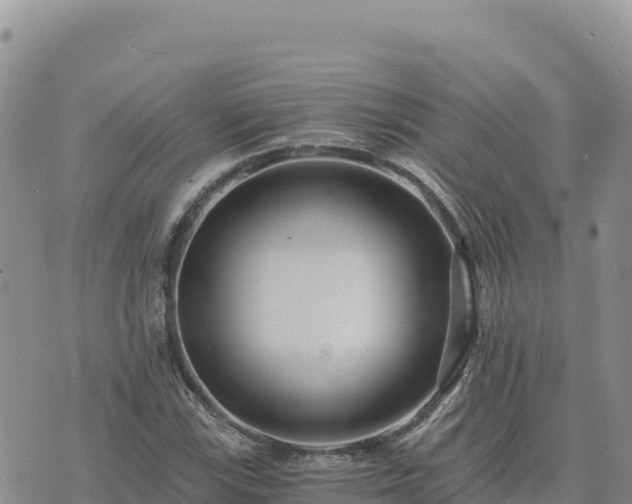 X0000073701115200608101806