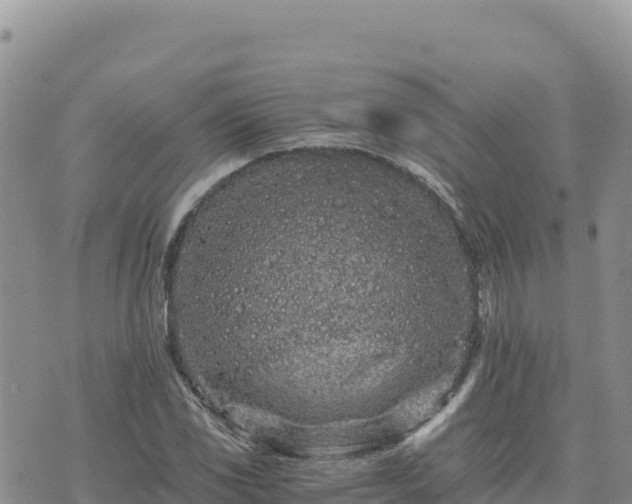 X0000073701117200608101806