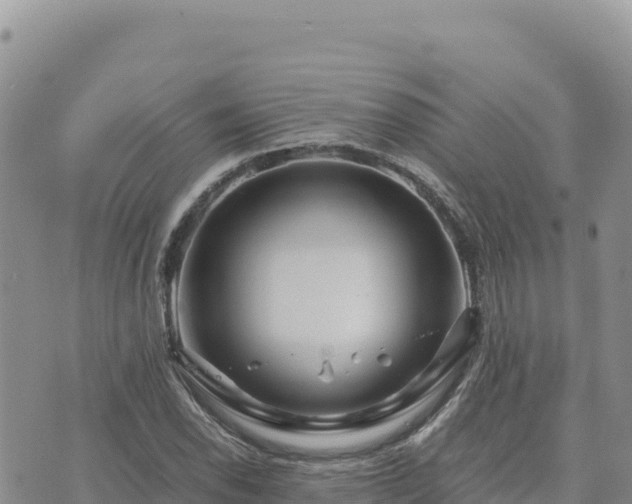 X0000073701118200608101806