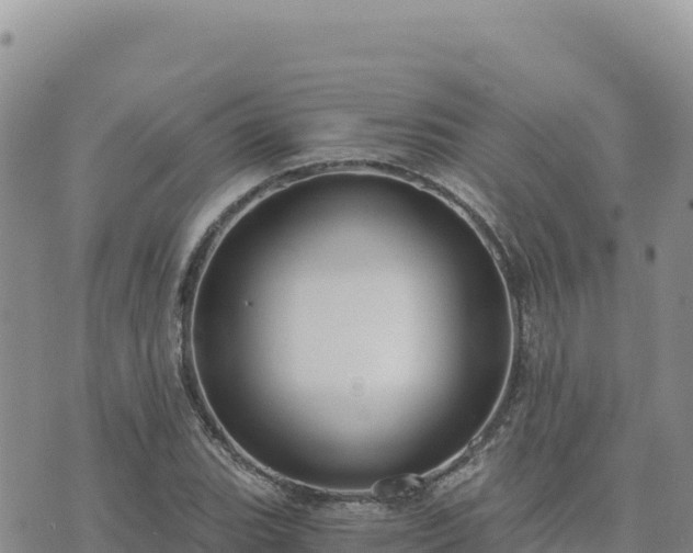 X0000073701119200608101806