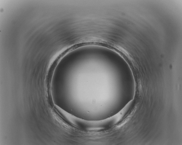 X0000073701120200608101806