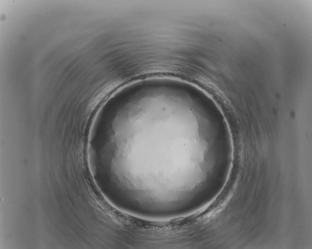 X0000073701121200608101806