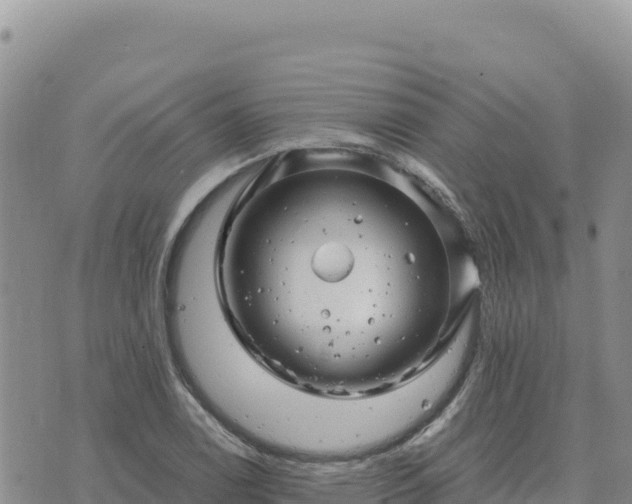 X0000073701122200608101806