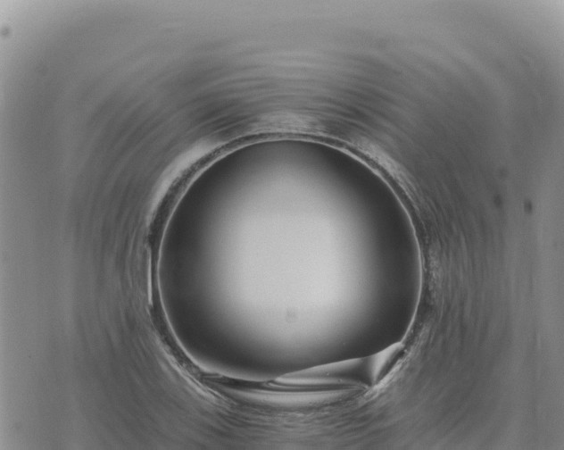 X0000073701123200608101806