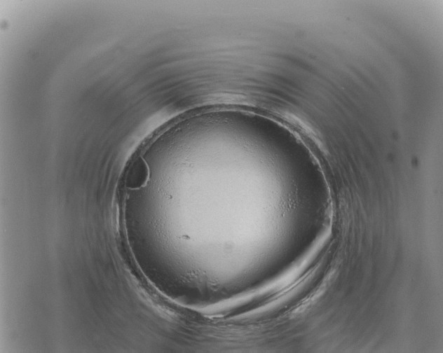 X0000073701125200608101807