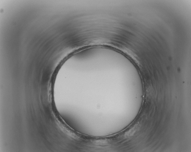 X0000073701126200608101807