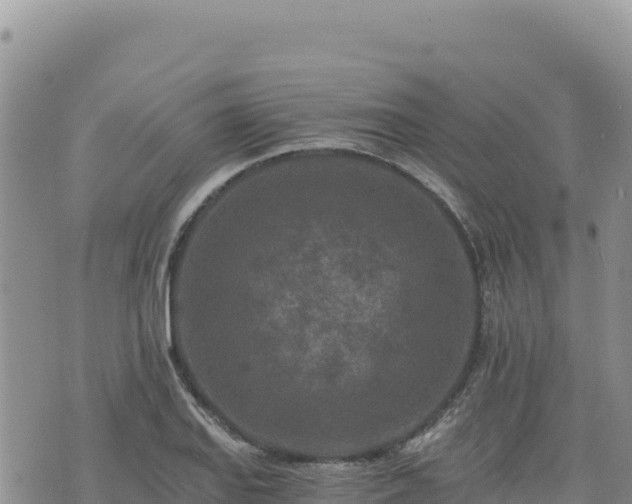 X0000073701127200608101807