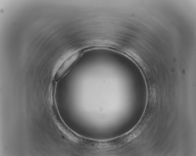 X0000073701128200608101807