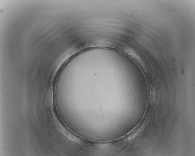 X0000073701130200608101807