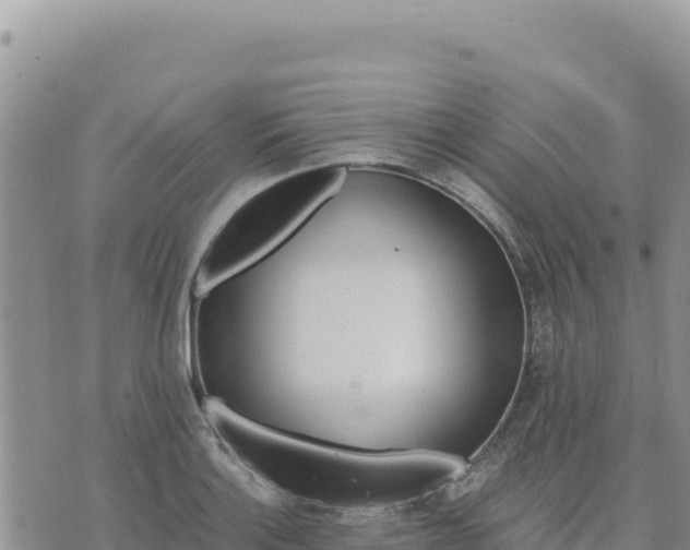 X0000073701132200608101807