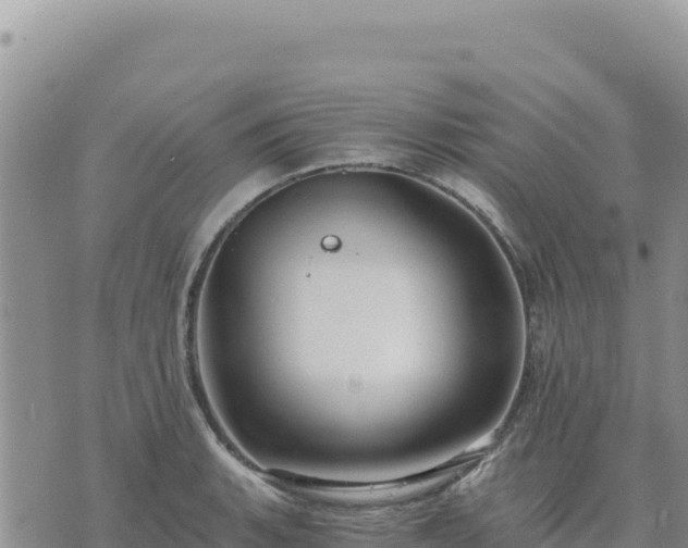 X0000073701135200608101807