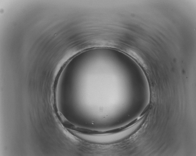 X0000073701136200608101807