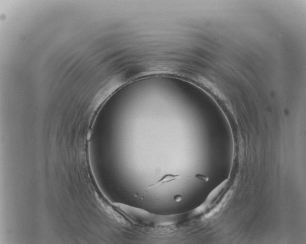 X0000073701137200608101807