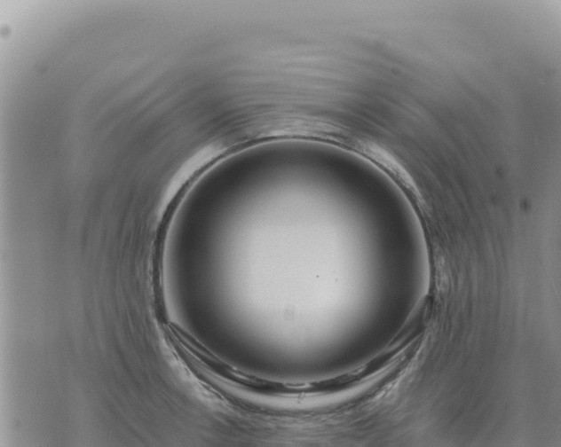 X0000073701138200608101807