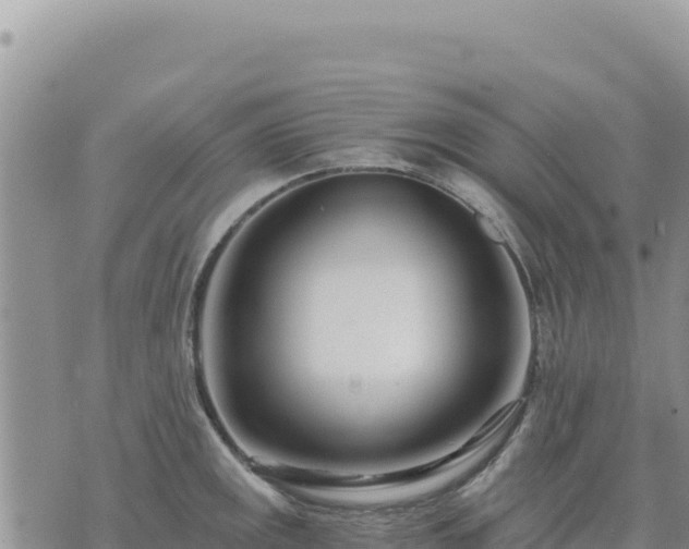 X0000073701141200608101807