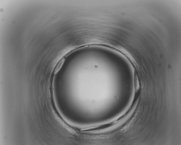 X0000073701142200608101807